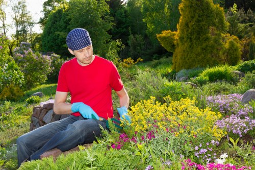 Inspector reviewing gardening records and plants